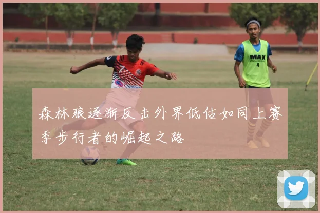 森林狼逐渐反击外界低估如同上赛季步行者的崛起之路
