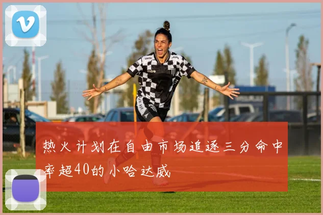 热火计划在自由市场追逐三分命中率超40的小哈达威